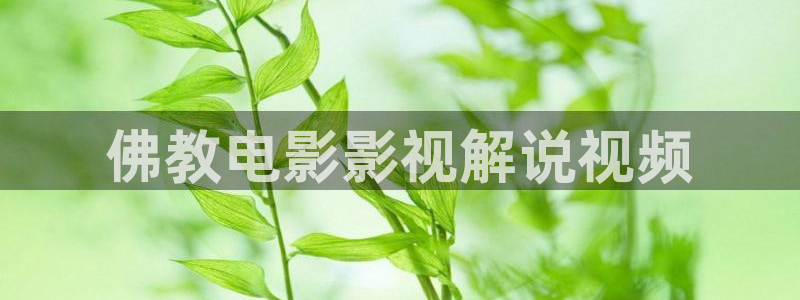 y樱花视频