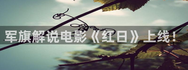樱花影院破解
