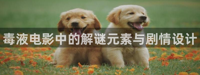 樱花影视剧在线观看免费