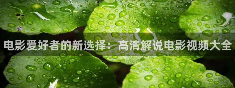 浪漫樱花影视在线观看
