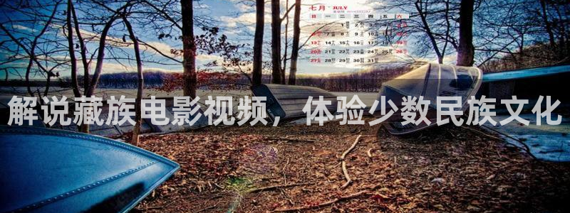 樱花影视免费下载