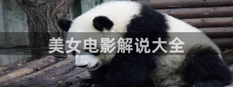 贵州万亩樱花视频
