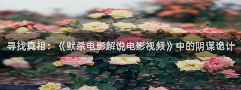 进去里樱花视频