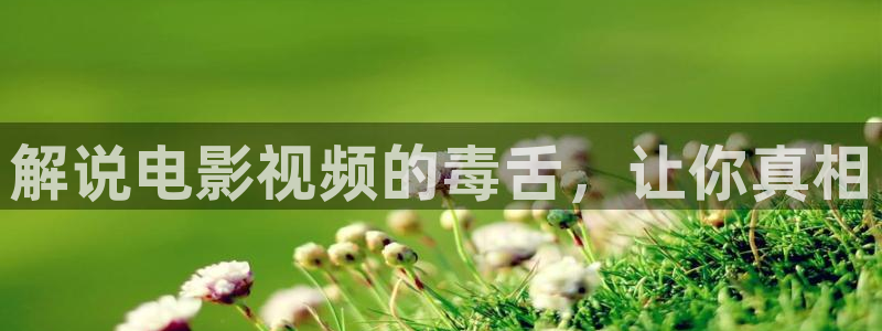 樱花视频好爽：解说电影视频的毒舌，让你真相