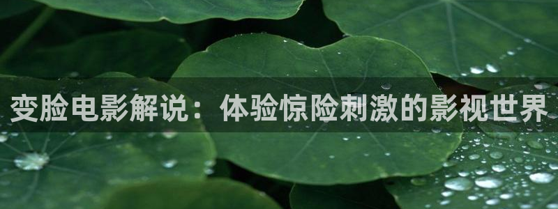 樱花影院电视剧大全