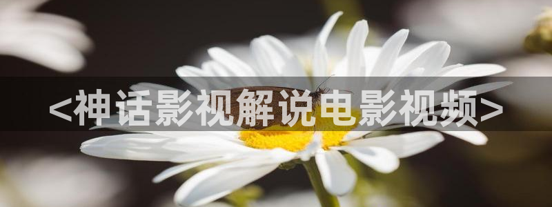 樱花影视高清电影：<神话影视解说电影视频>