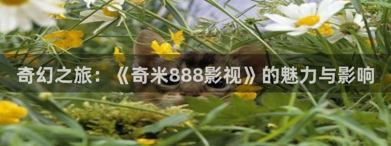 樱花视频观看：奇幻之旅：《奇米888影视》的魅力与影响