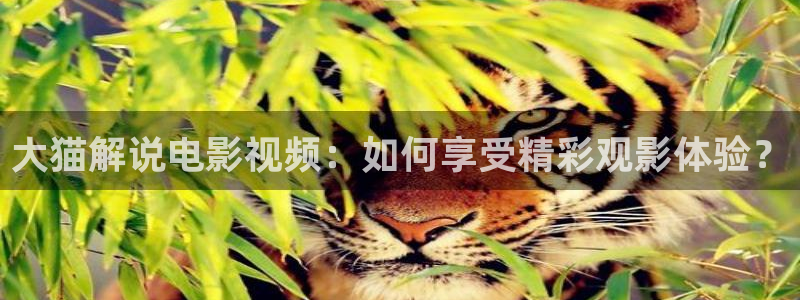 樱花影院电视剧在线播放视频：大猫解说电影视频：如何享受精彩观影体验？