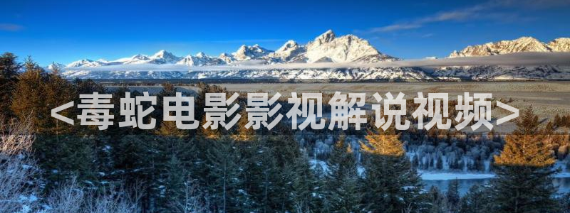 樱花影院高清电影好看的：<毒蛇电影影视解说视频>