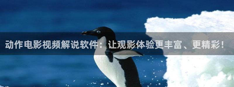 樱花视频了：动作电影视频解说软件：让观影体验更丰富、更精彩！