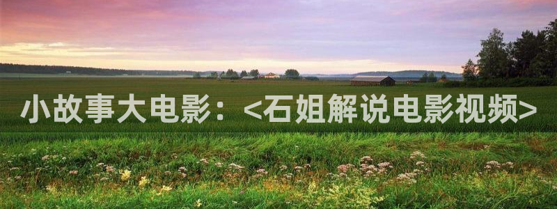 樱花影院免费在线观看：小故事大电影：<石姐解说电影视频>