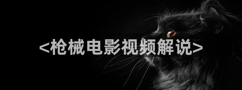 樱花视频大全动漫：<枪械电影视频解说>