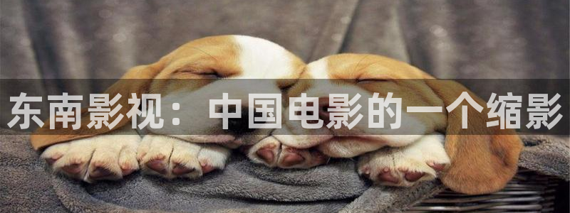 免费观看樱花视频：东南影视：中国电影的一个缩影