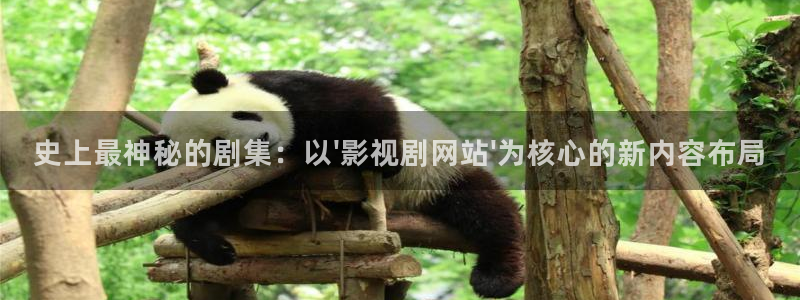 樱花影业：史上最神秘的剧集：以\'影视剧网站\'为核心的新内容布局