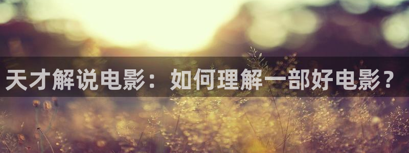 樱花视频.com：天才解说电影：如何理解一部好电影？
